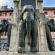 elephants chambery groupe rd immo