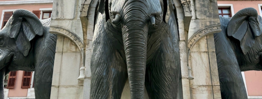 elephants chambery groupe rd immo