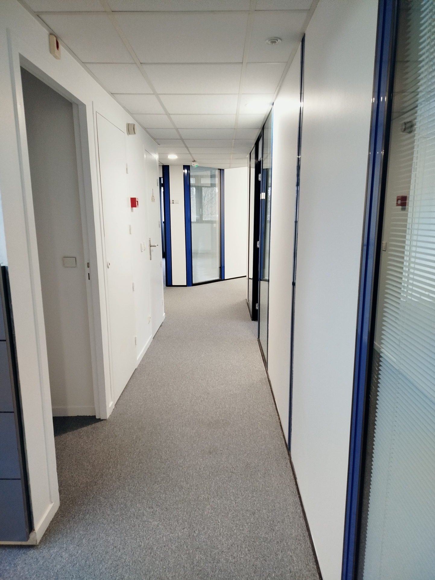 photo_cb6d3c289475b7dec13729f9a1a13db1