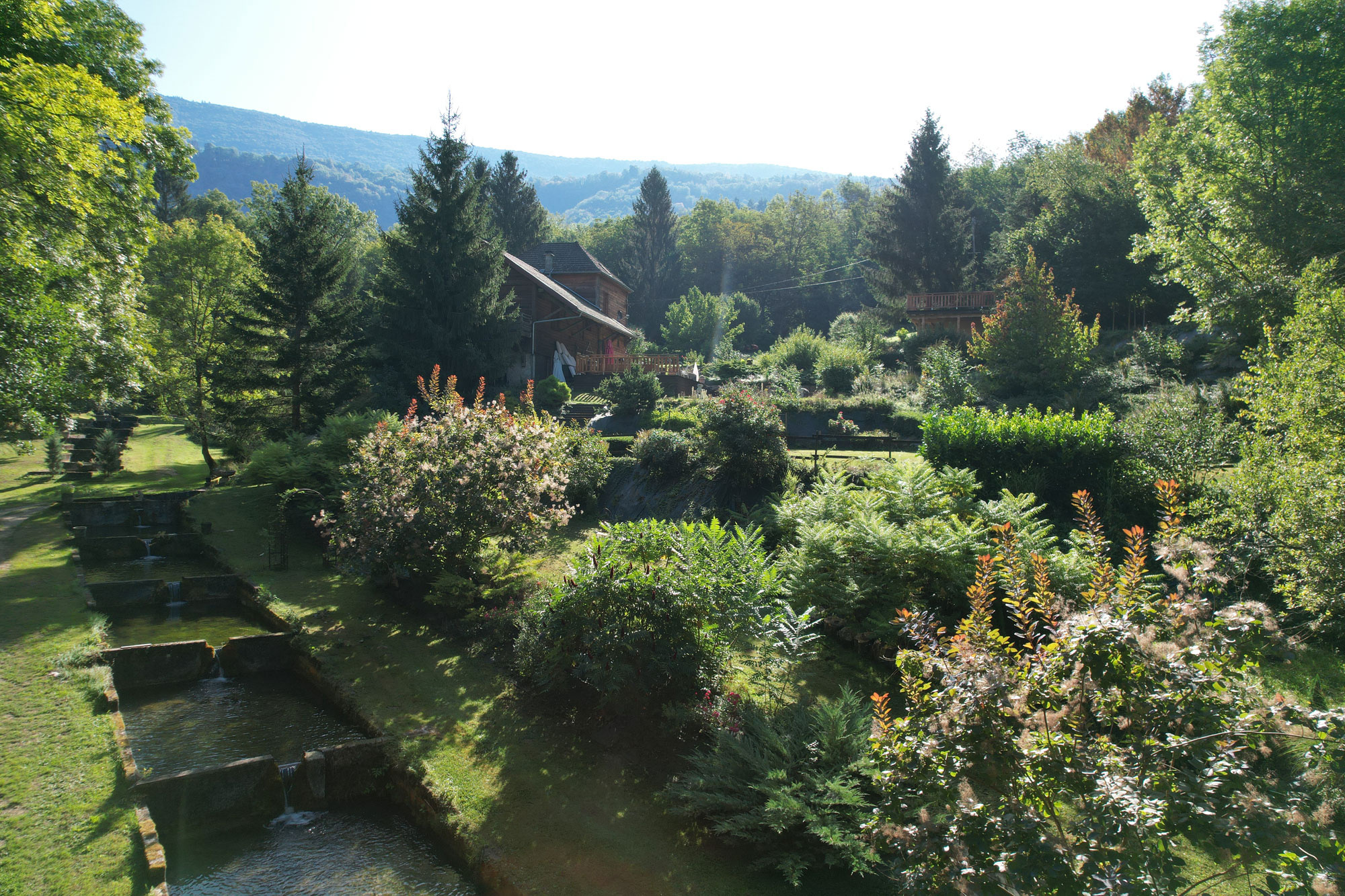 photo_08cc69e2520958d82889821e0da38eb8