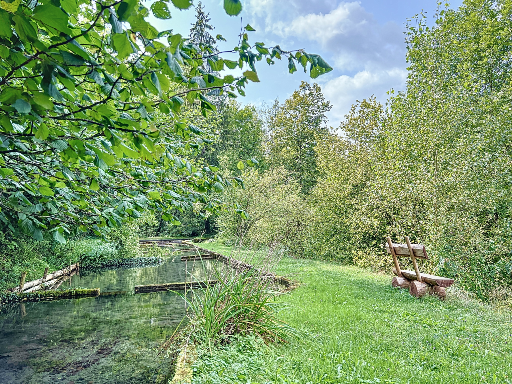 photo_0d84bec35958904a6ce4bd0986944e0e