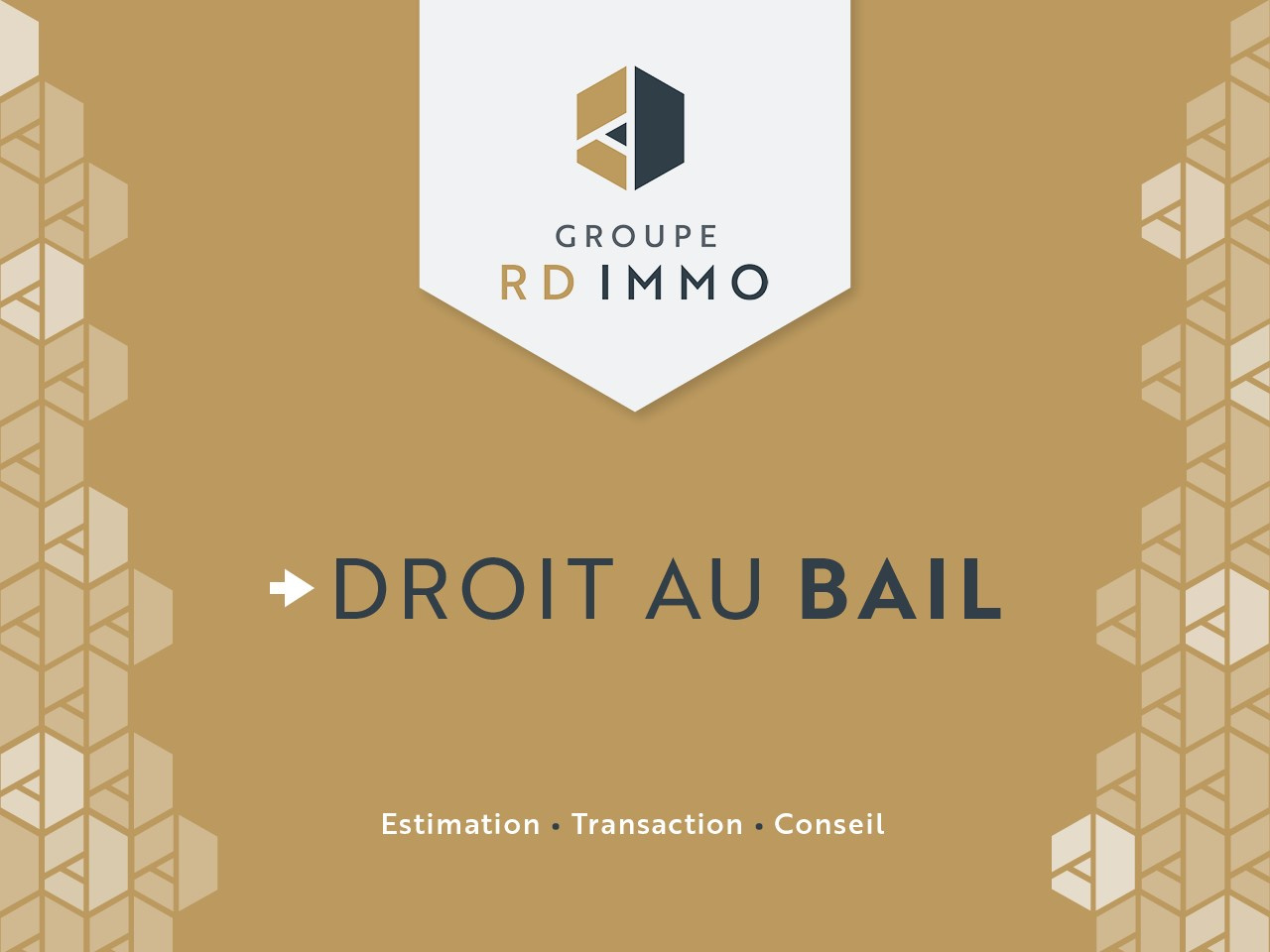 photo_5622de44b7b0debc7d1db8147ed3e8e4