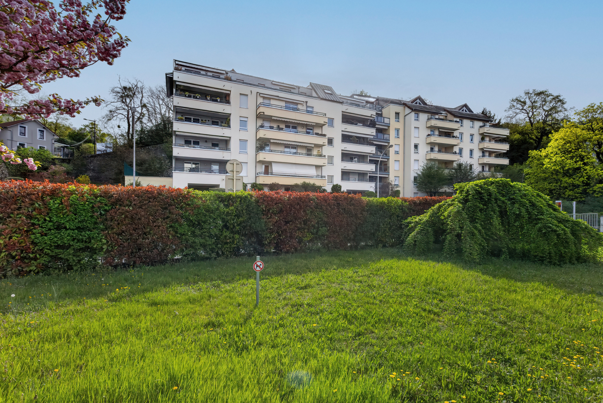 photo_65cde61988f13232771bcb72bf49b689