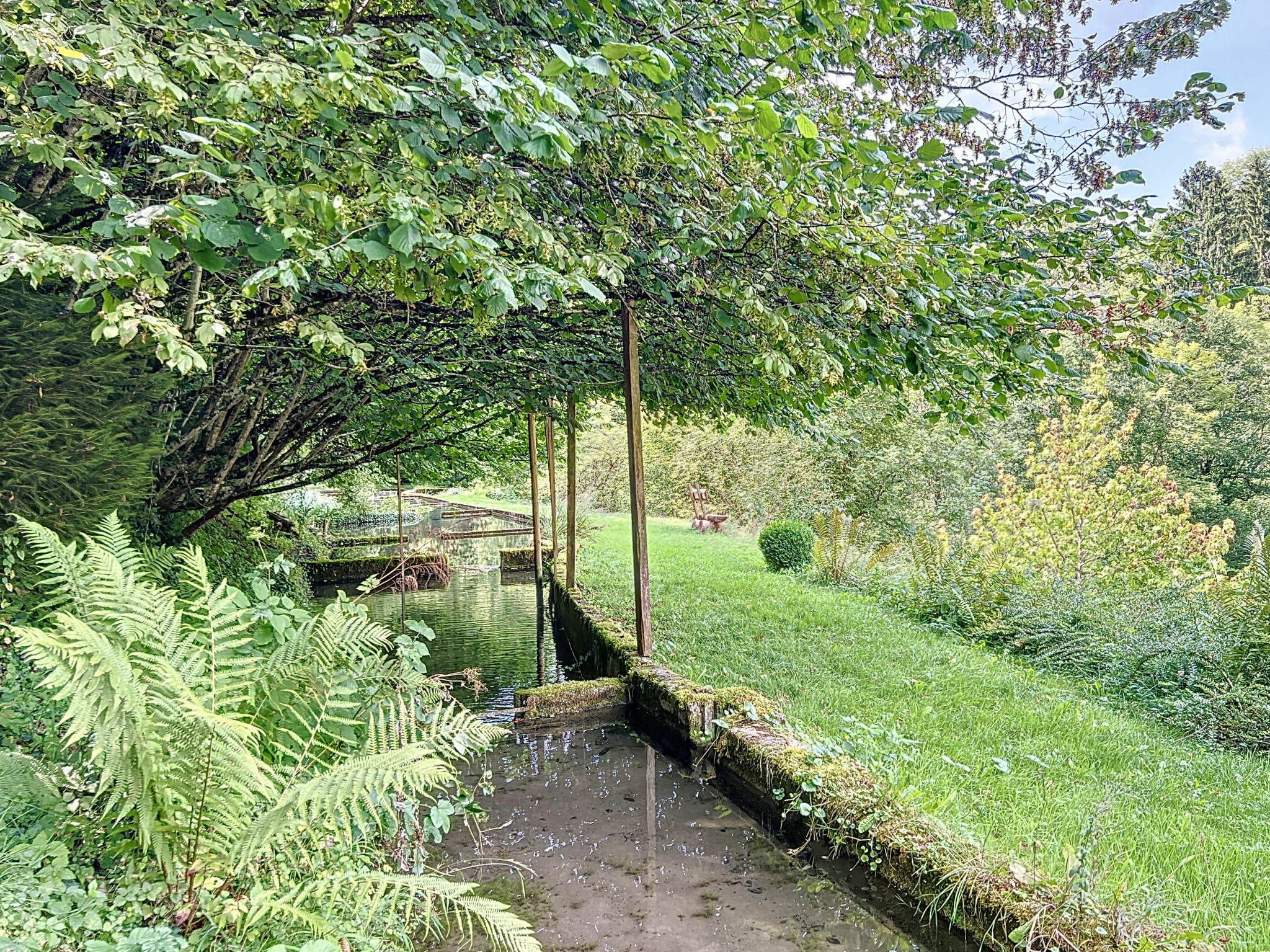 photo_833b282c1a4c5d8de208cc0cf902625e