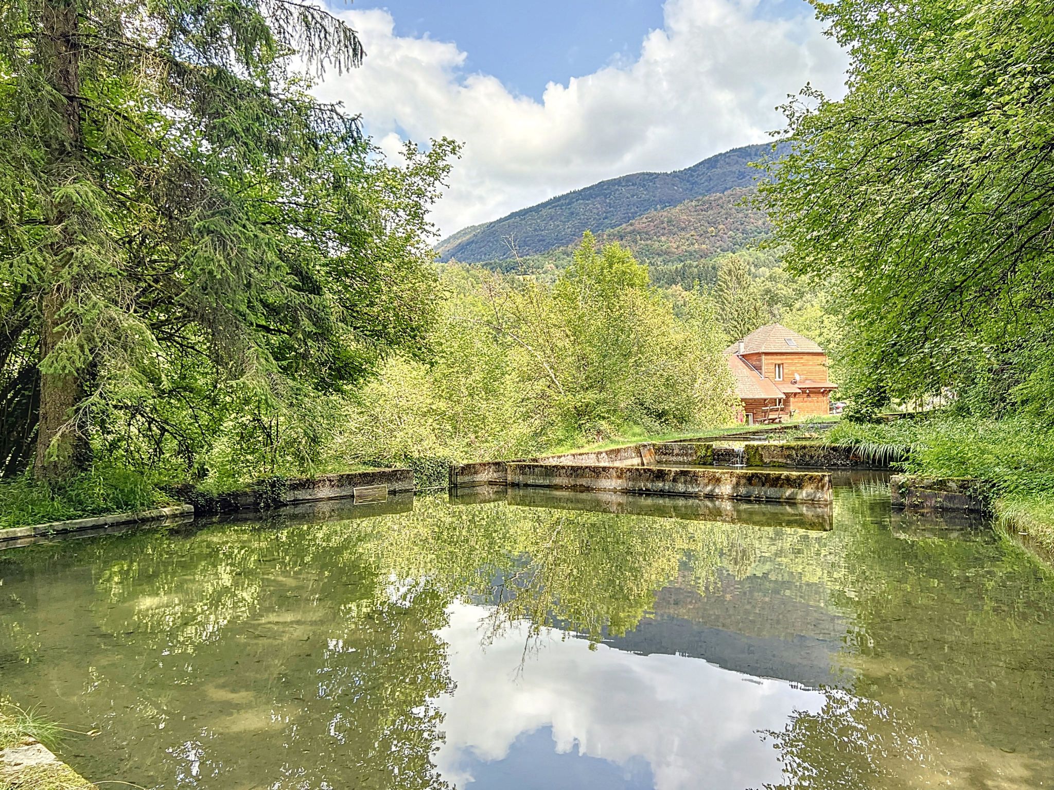 photo_848f23566eddf17057133c0073d28596