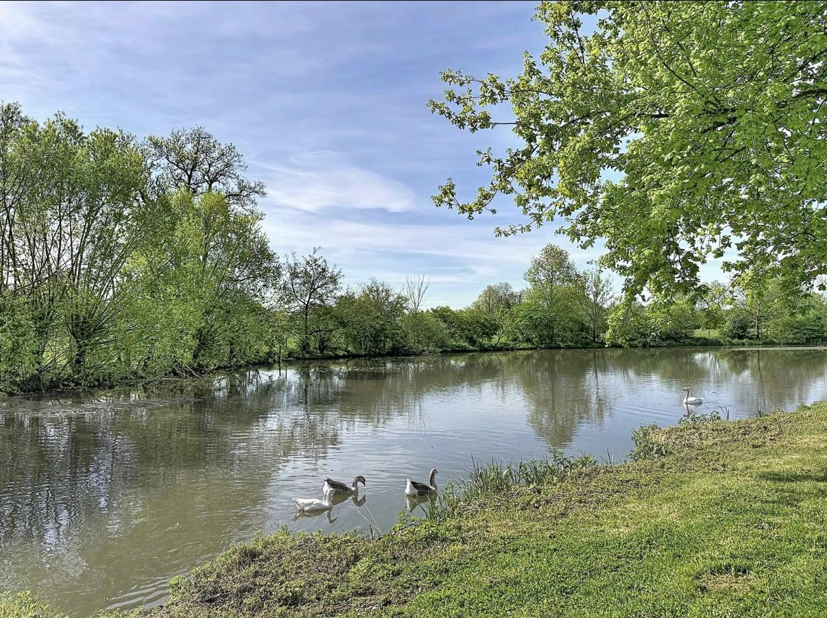 photo_97ed1e9654a2ff698d5dc509dc7e4e64