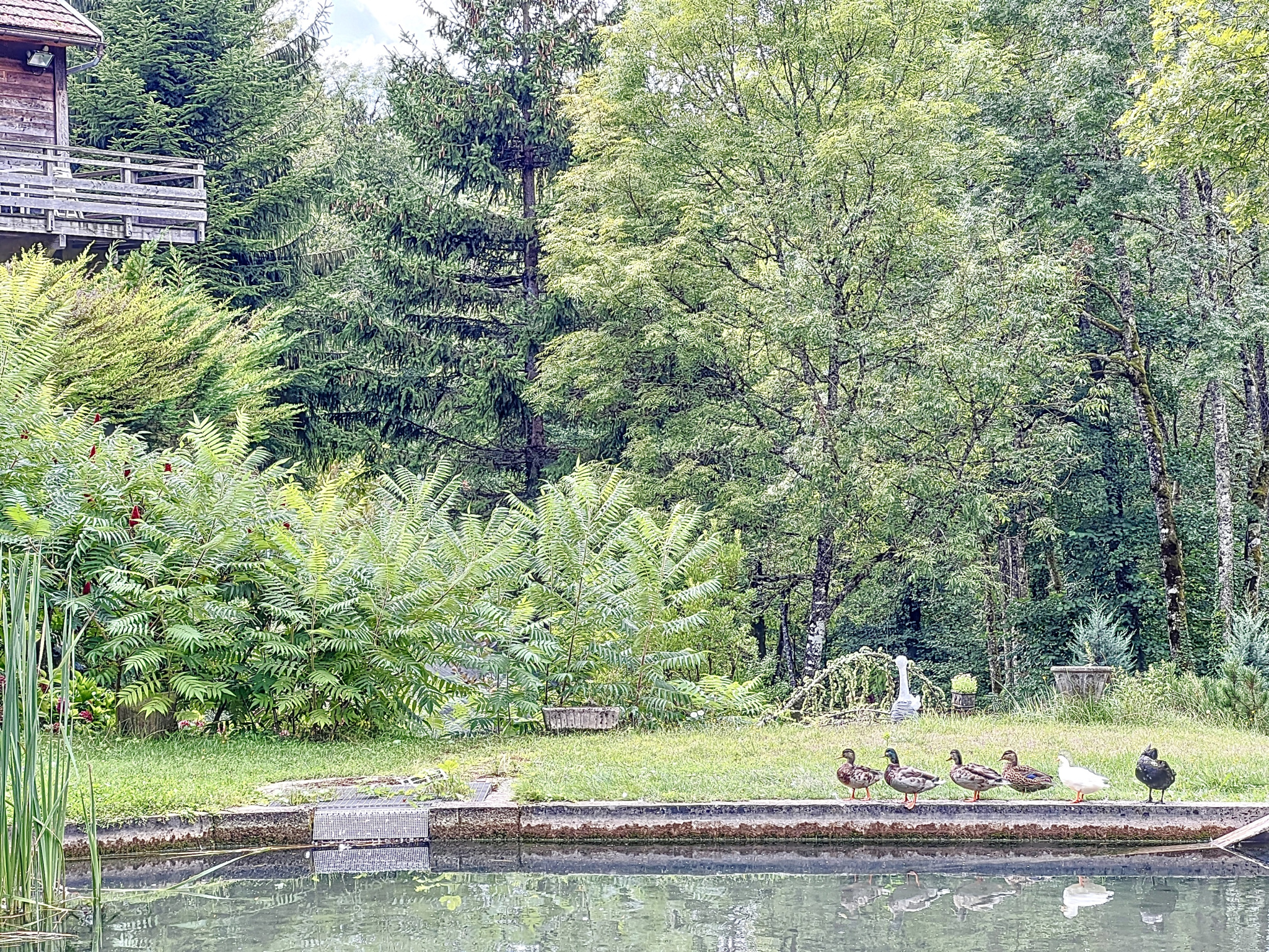 photo_c7566e258d5b2411b50c44db1c7d7db8